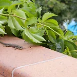 Casa Duaner